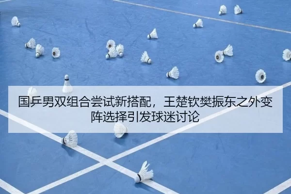 国乒男双组合尝试新搭配，王楚钦樊振东之外变阵选择引发球迷讨论